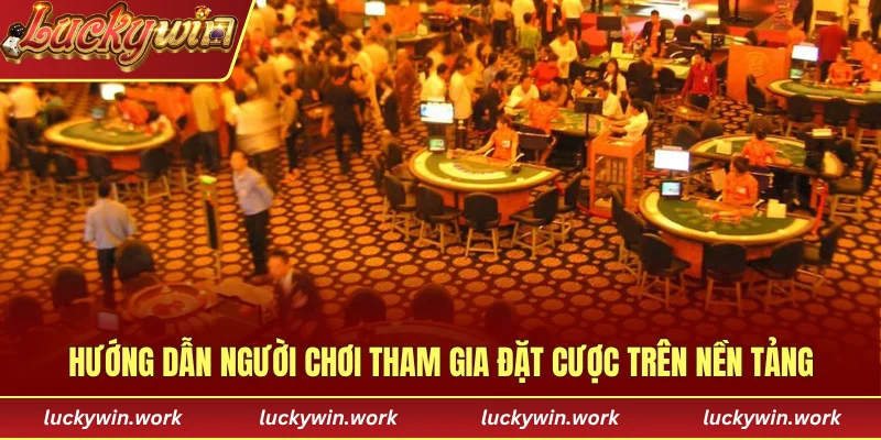 Hướng dẫn người chơi tham gia đặt cược trên nền tảng