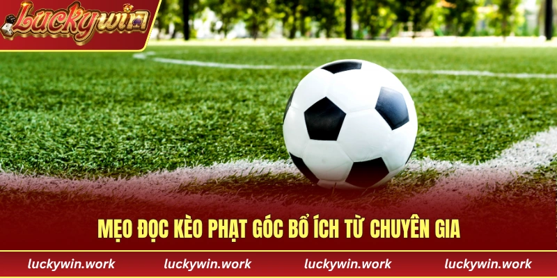 Mẹo đọc kèo phạt góc bổ ích từ các chuyên gia lâu năm