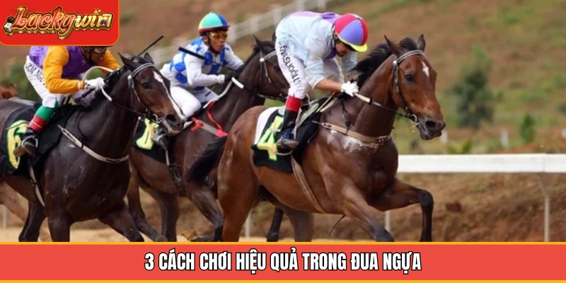 3 cách chơi hiệu quả trong đua ngựa 3 cách chơi hiệu quả trong đua ngựa
