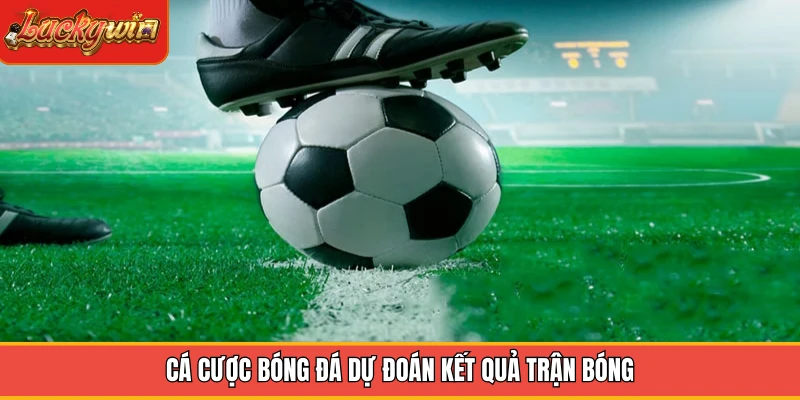 Cá cược bóng đá dự đoán kết quả trận bóng Cá cược bóng đá dự đoán kết quả trận bóng